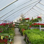 DSC02807