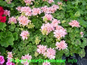 DSC02820