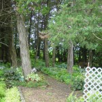 DSC05460 DSC05460