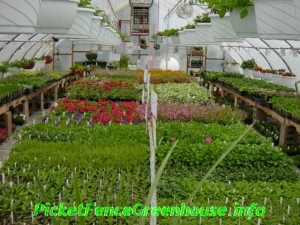 greenhouse 7