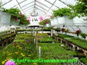 greenhouse042