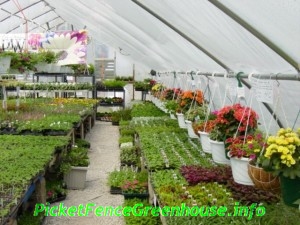 greenhouse044