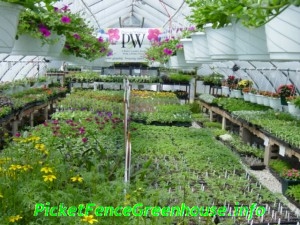 greenhouse2004