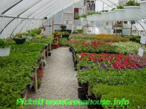 greenhouse2