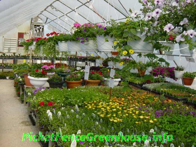Greenhouse business plans